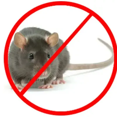 rodent-control-service